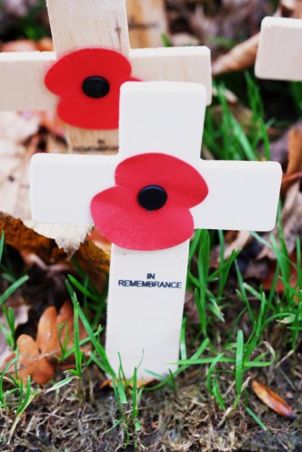 iStock_000031464184Small